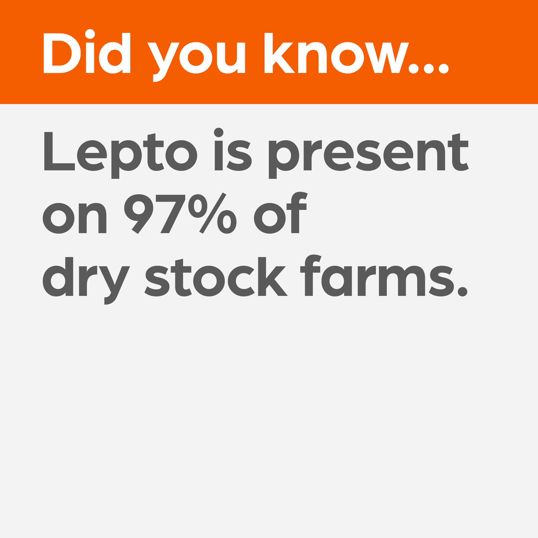 Lepto-1080x1080.gif