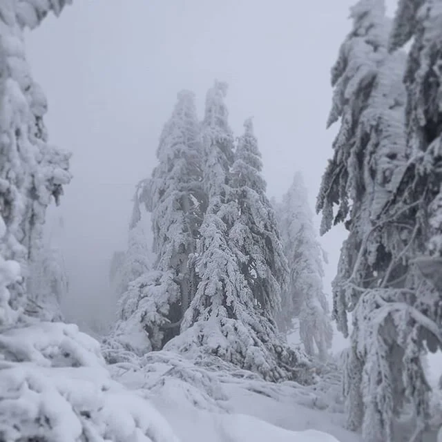 Listen and breathe