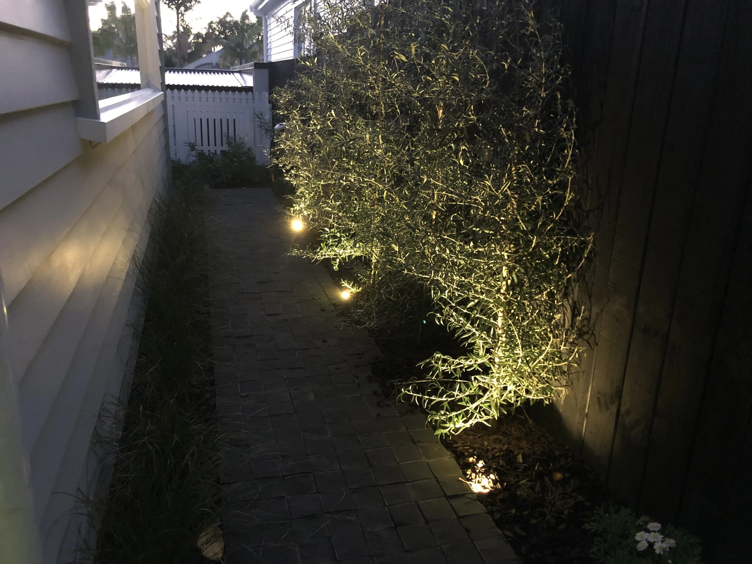 Garden Lighting.jpeg