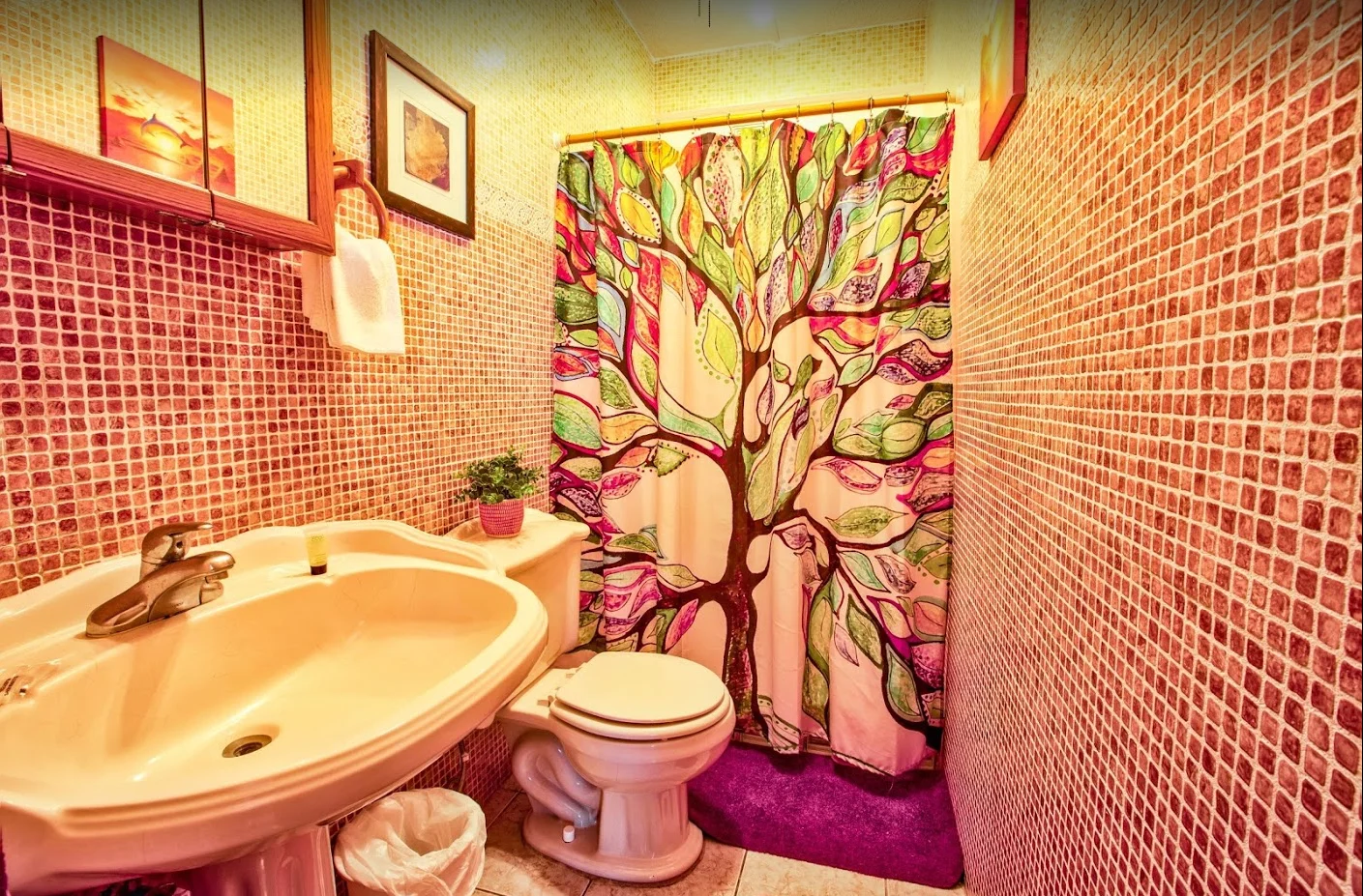 coconut-palms-inn-11.jpg