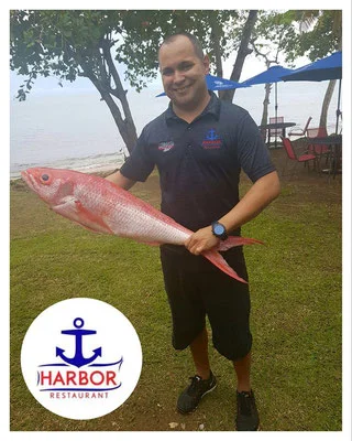 harbor.jpg