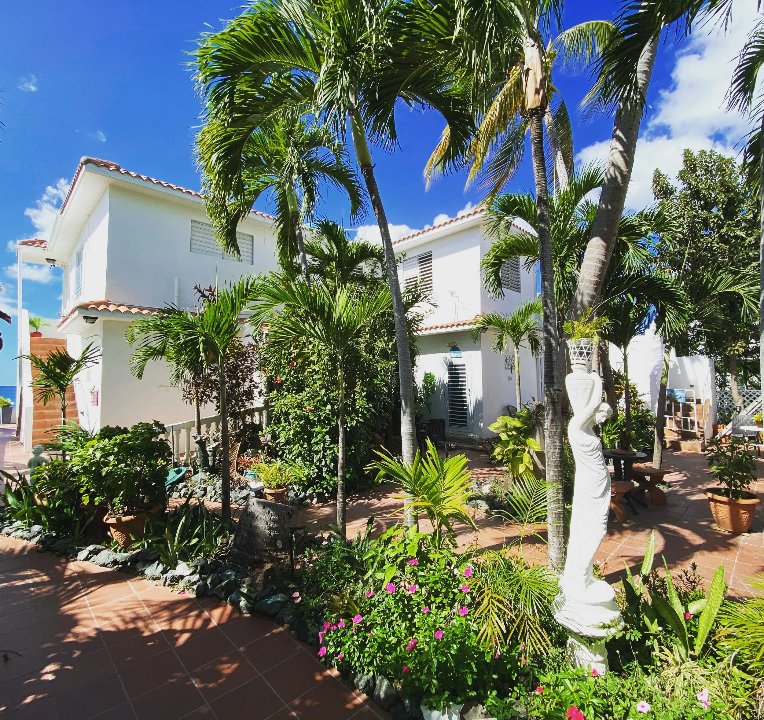 Gallery — Coconut Palms Inn