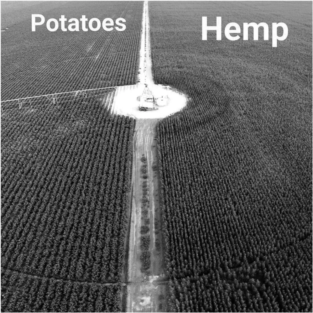 potatoes-hemp.jpg