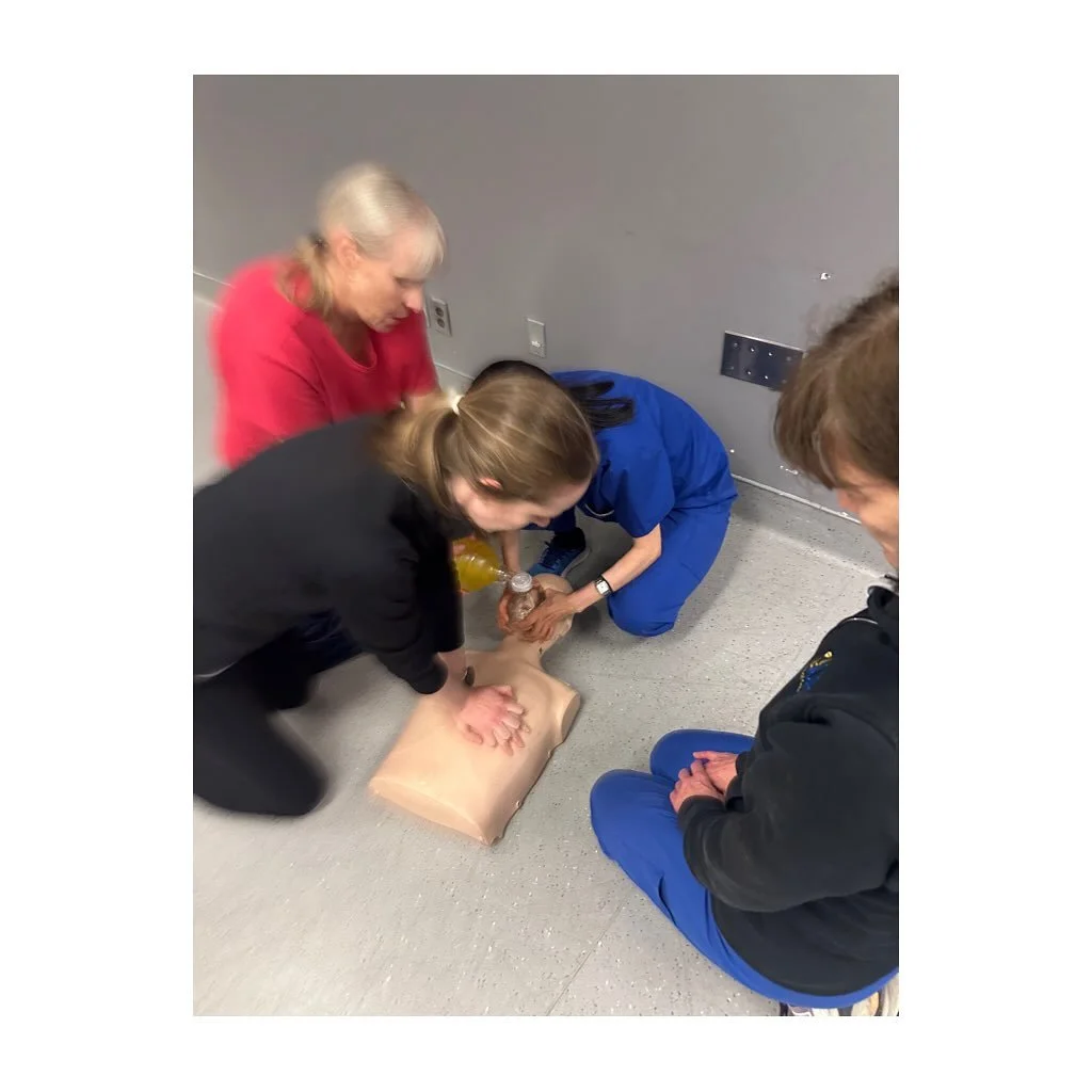 Basic Life Support with a group of physiotherapists at Toronto Western Hopsital
