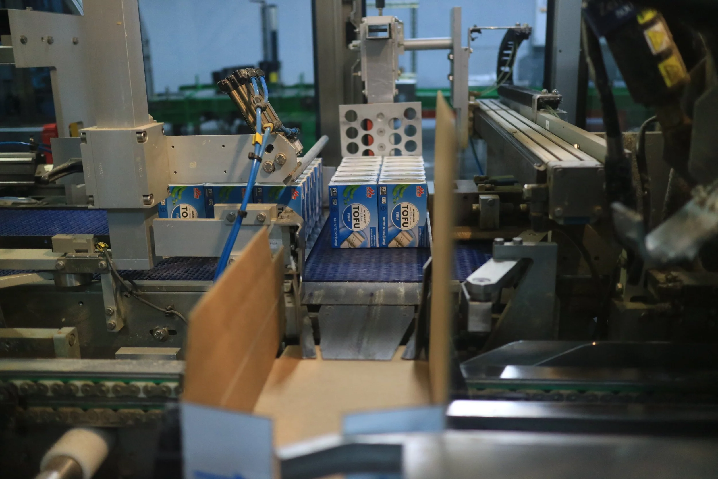 Tofu in the production process.jpeg