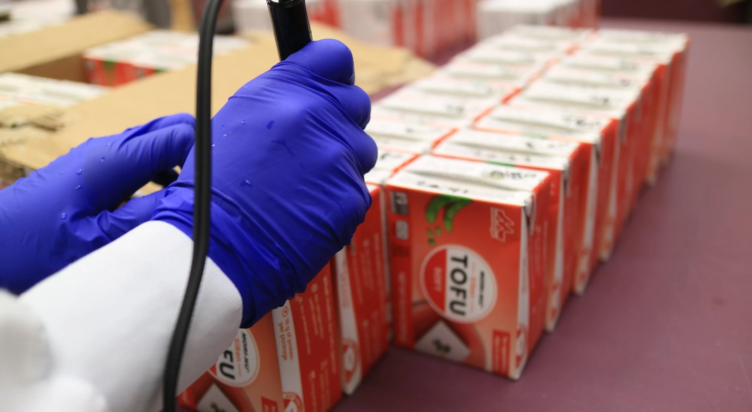 Quality checking of tofu packs.jpeg