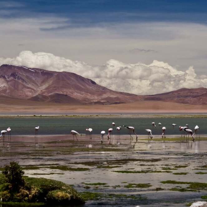 Chilean Lithium May Need a Tech Upgrade