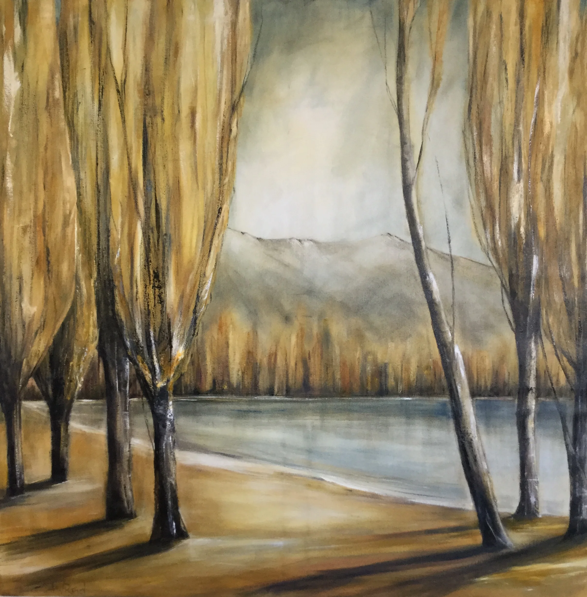 LOMBARDY POPLARS