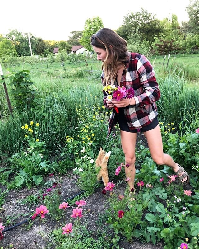 @ellencavalli captured a wonderful exposition of all of my favorite things: free flowers, a floofy orange cat, felco 7s, those black running shorts I never take off, that standard winemaker plaid I also never take off (ty @jaimeemotleywines), and bir