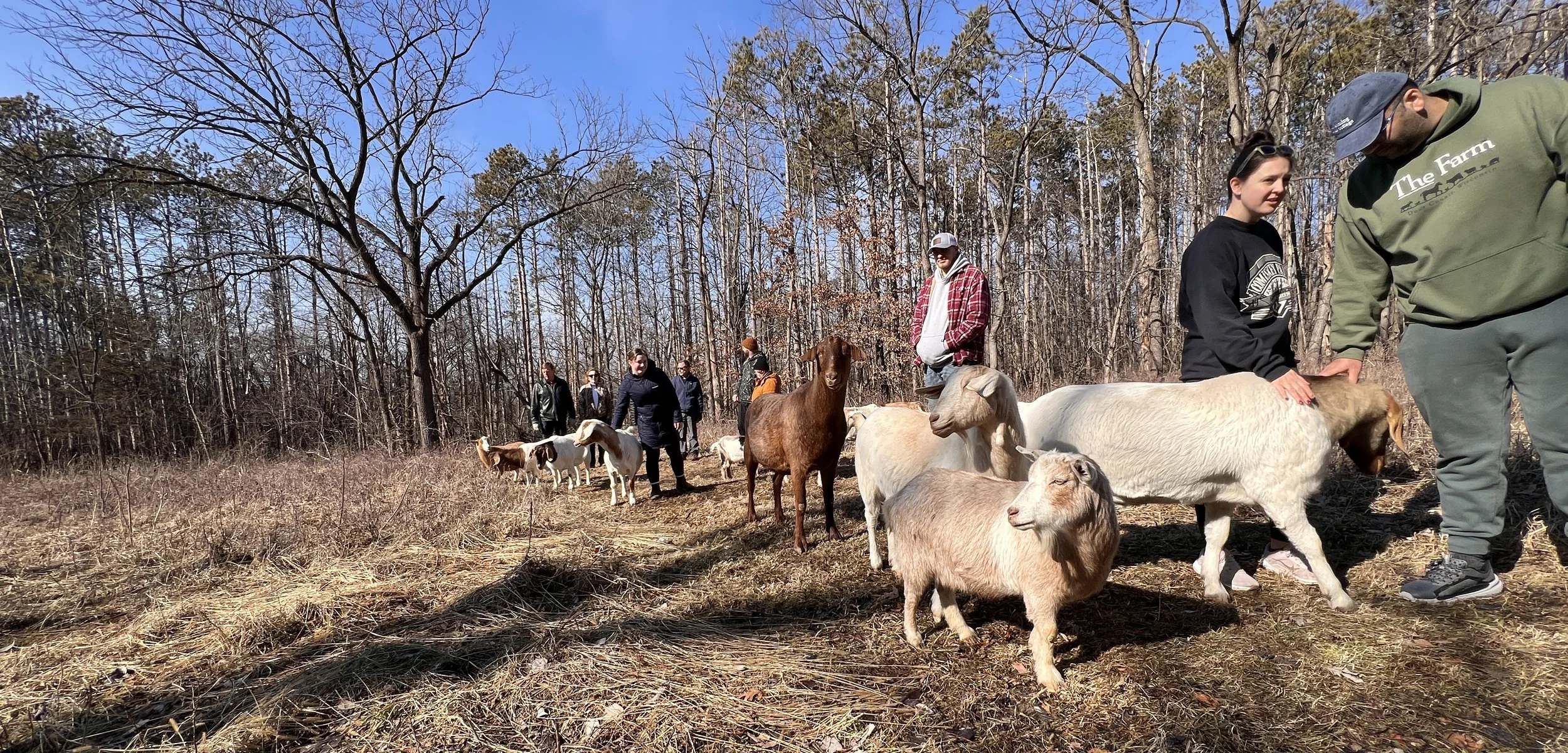 spring in Galena 26.jpg