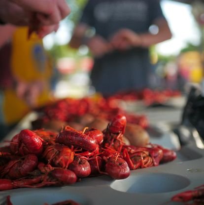 crawfish from youth event