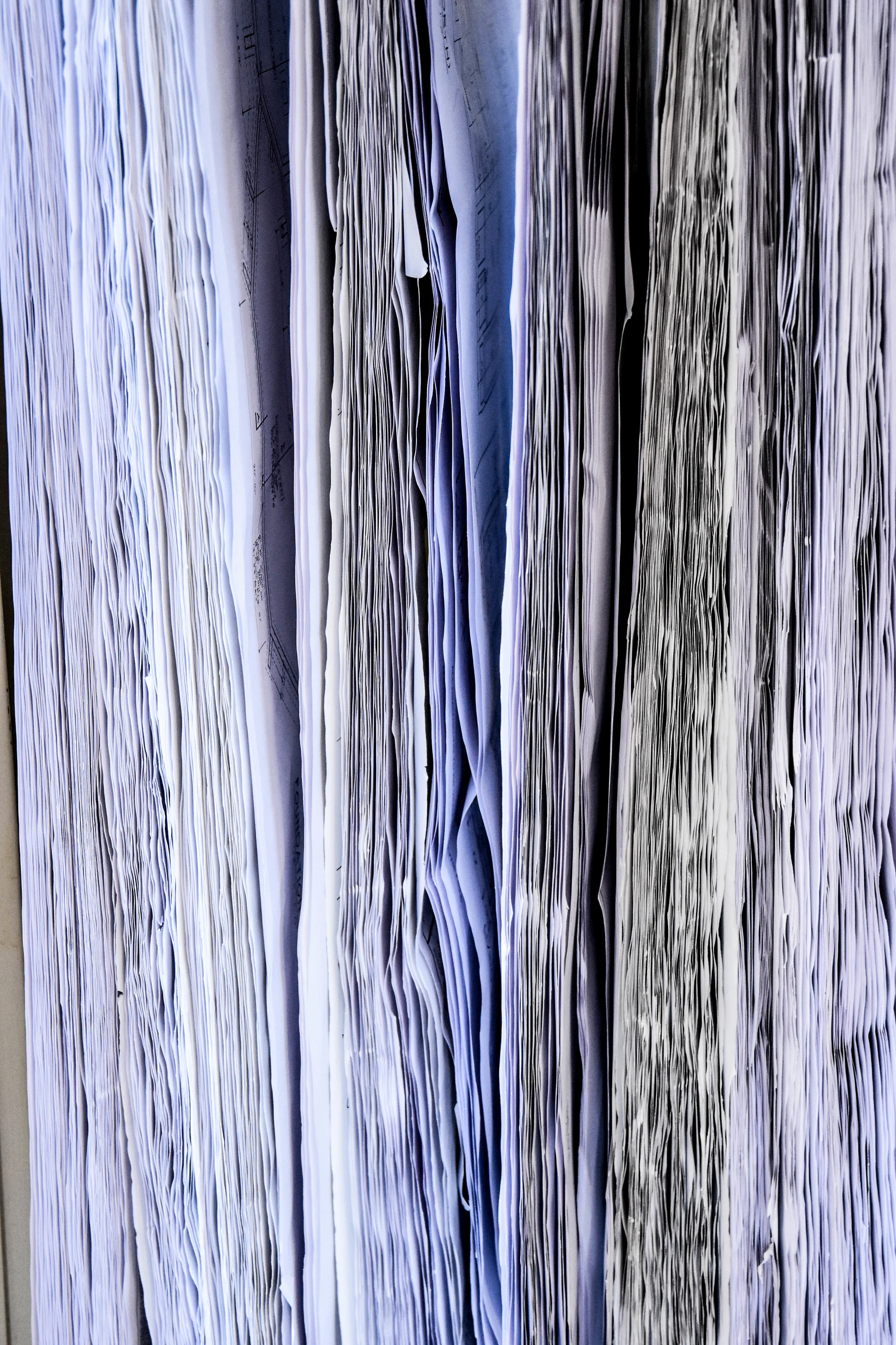 DSC_7527.jpg