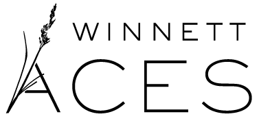 ACES Board Meeting