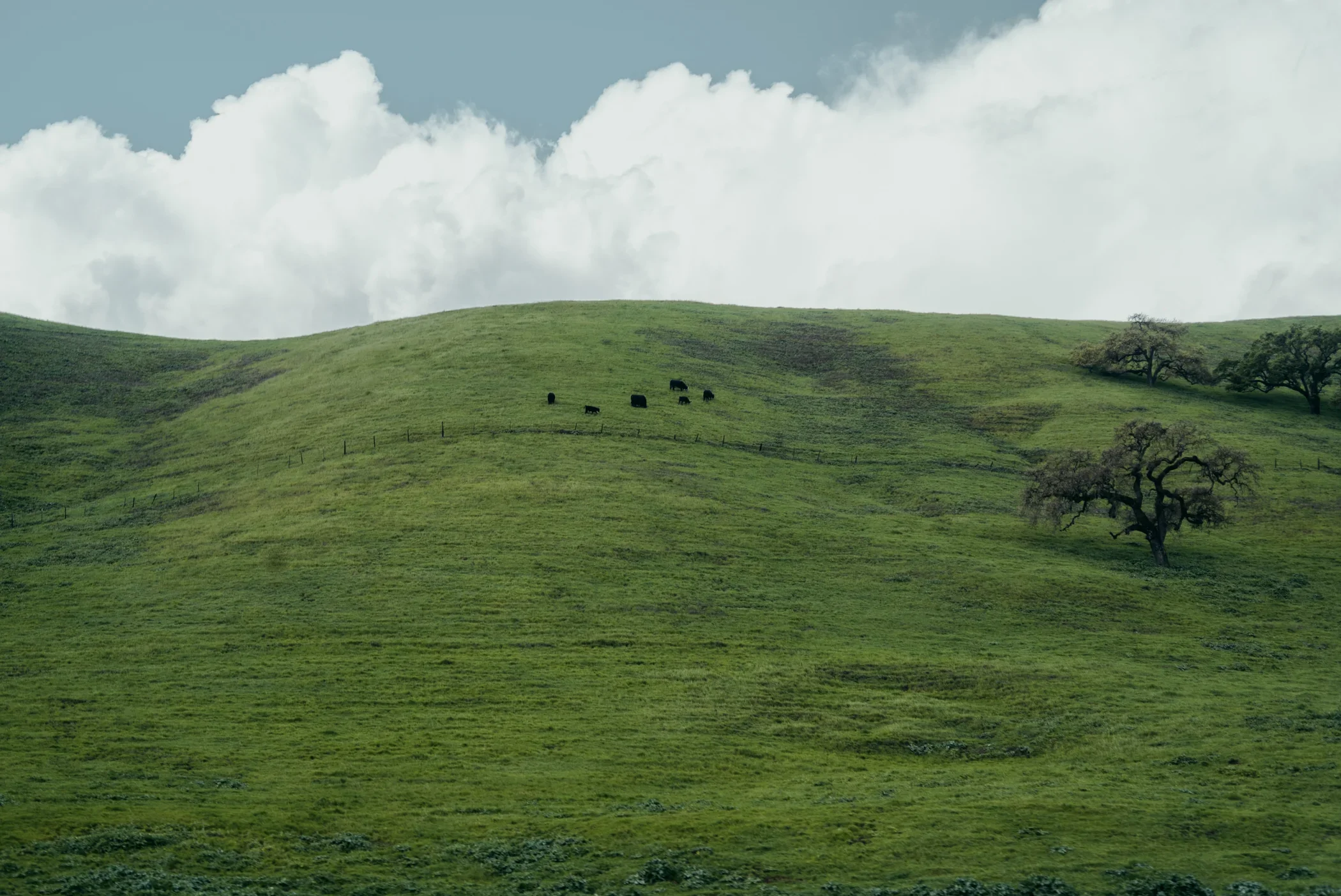 _DSC8997.webp