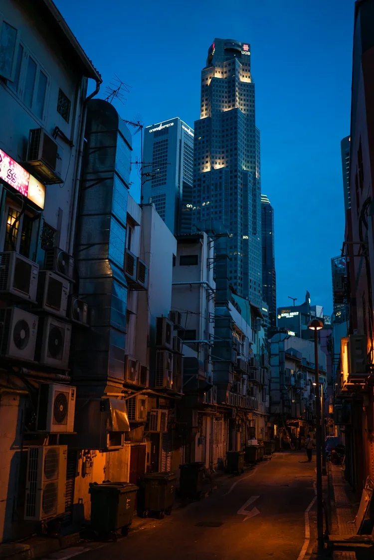 _DSC9983.webp