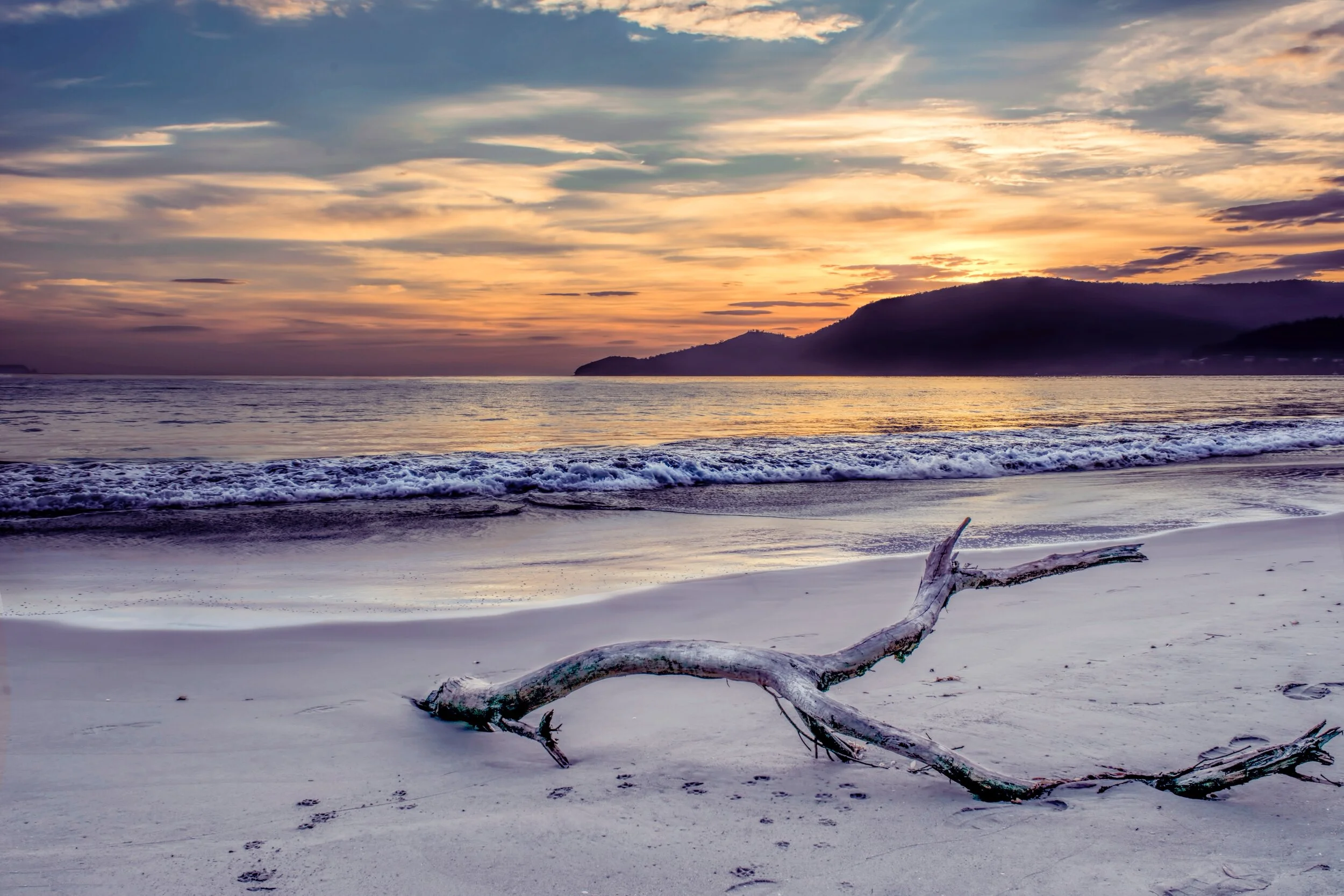 backlit-beach-clouds-1128566.jpg