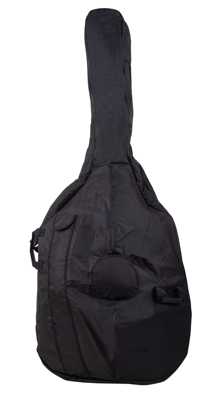 Padded Bass Bag