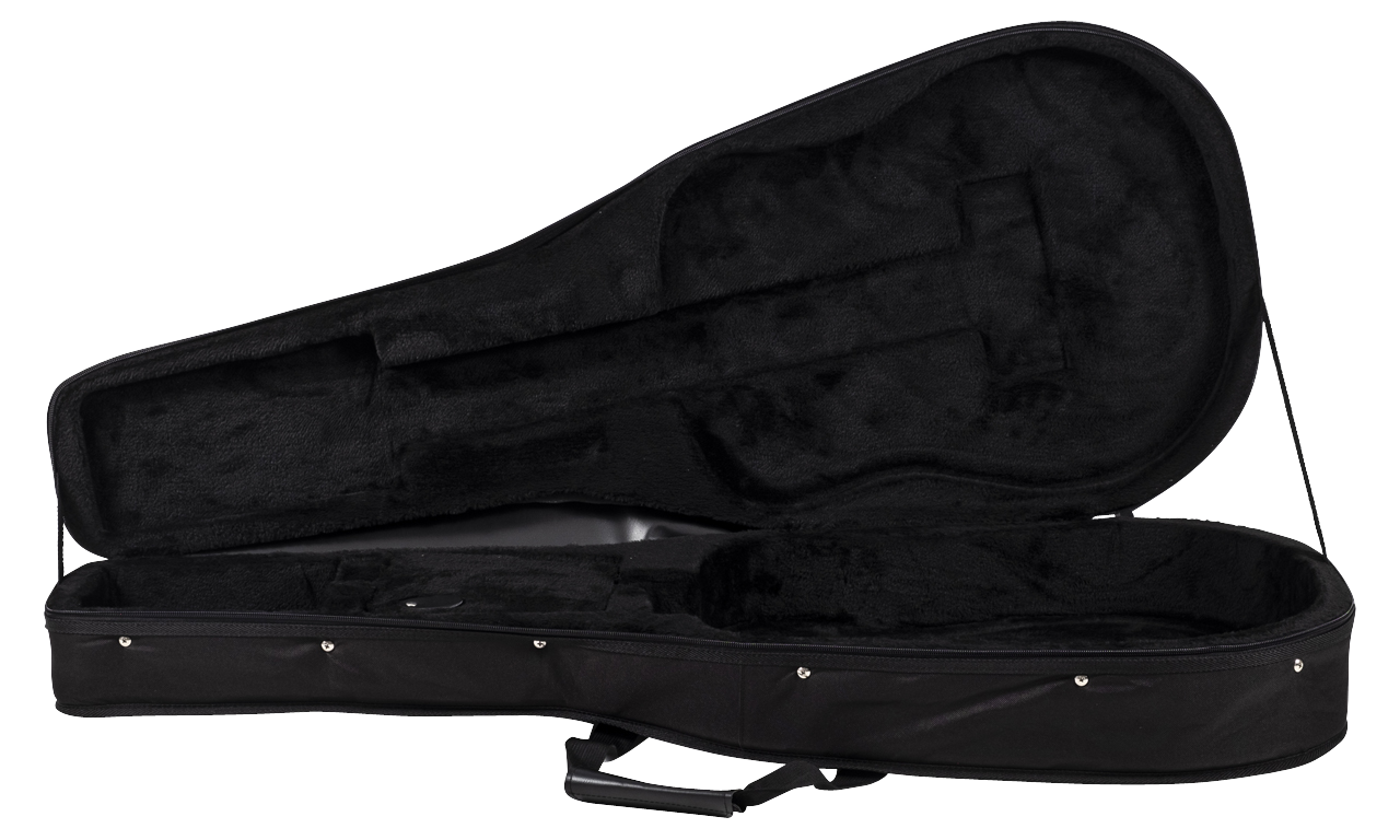 Featherweight Cases