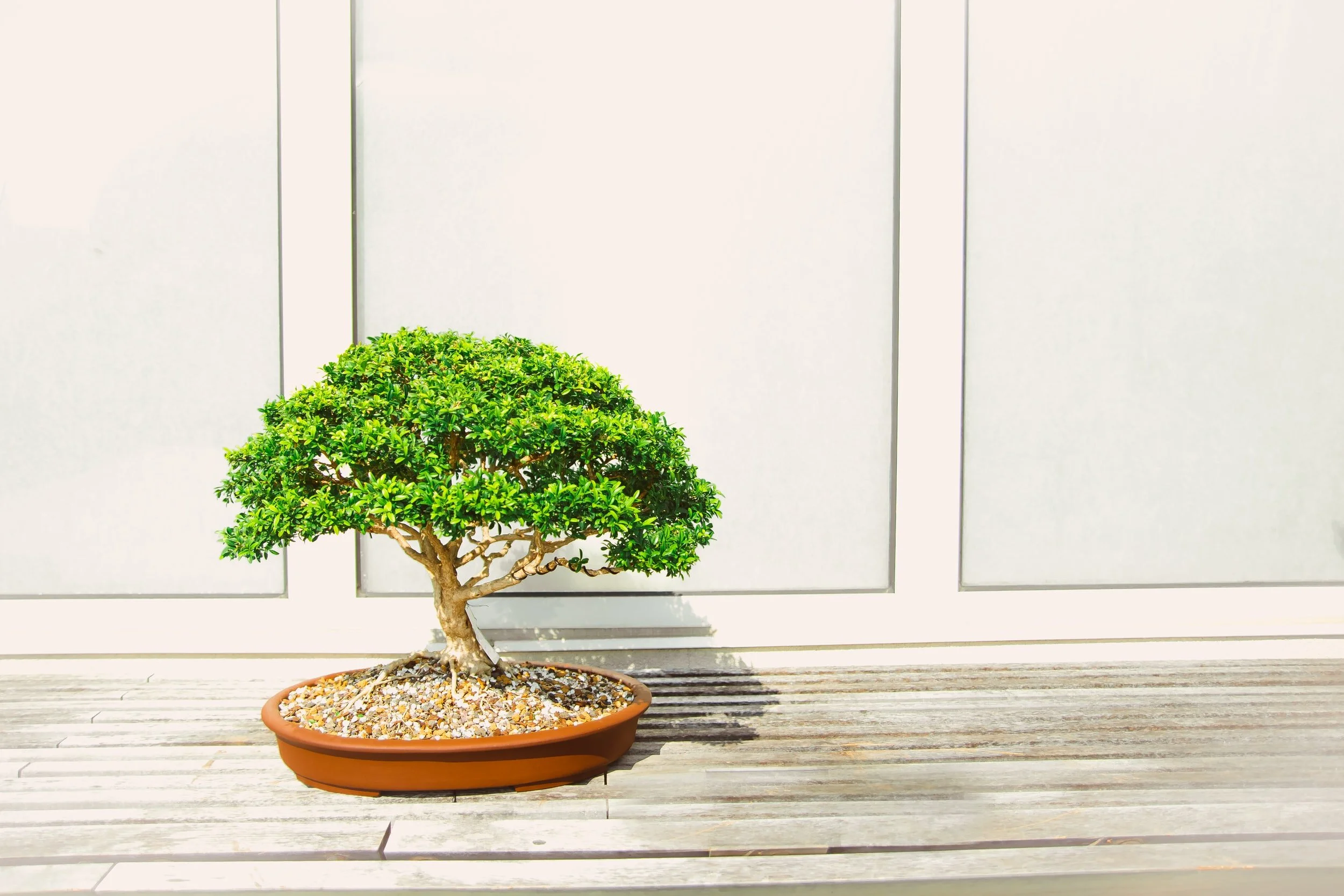 7 Tips to Codify Your Startup Culture