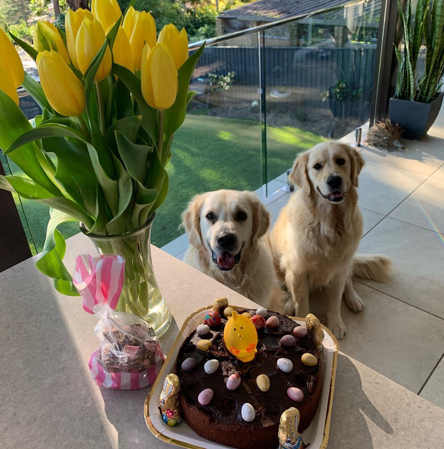 Happy Easter to all our lovely customers. Special thanks to Kay Cook for her beautiful Easter treats 🐣