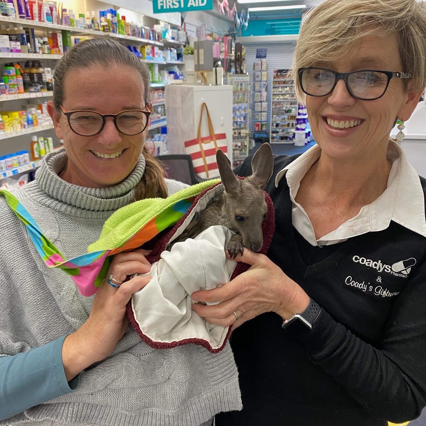 So when Mel is not teaching kids to swim, she rescues orphaned joeys down at the &ldquo;burgh&rdquo; . Apparently they also suffer from thrush so manager Sarah ( Mel&rsquo;s 👯&zwj;♀️ ) sponsored the monthly Nilstat supply.