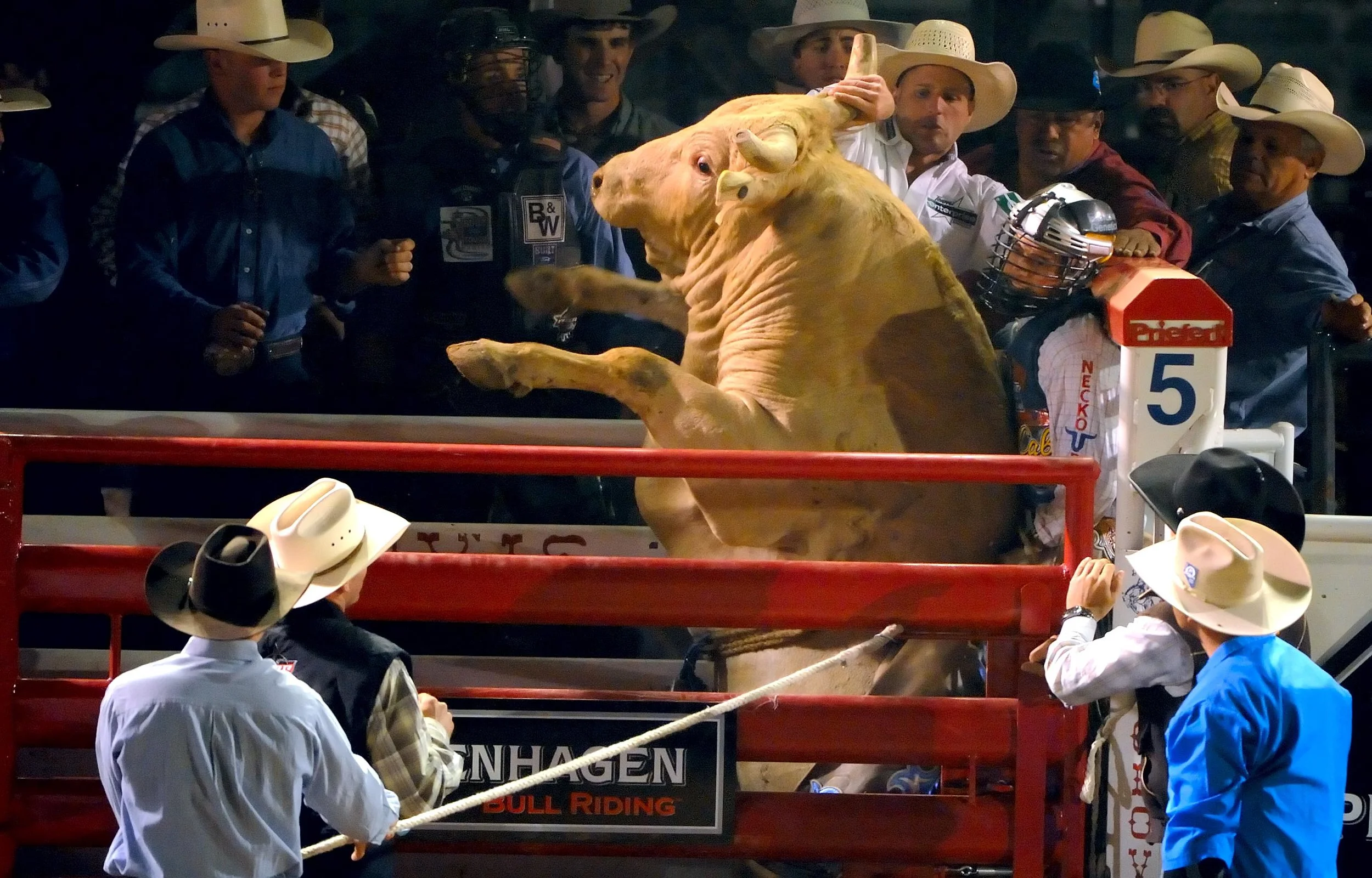 96269084.AM40lFG4.D3A_6313ClovisRodeo1.jpg