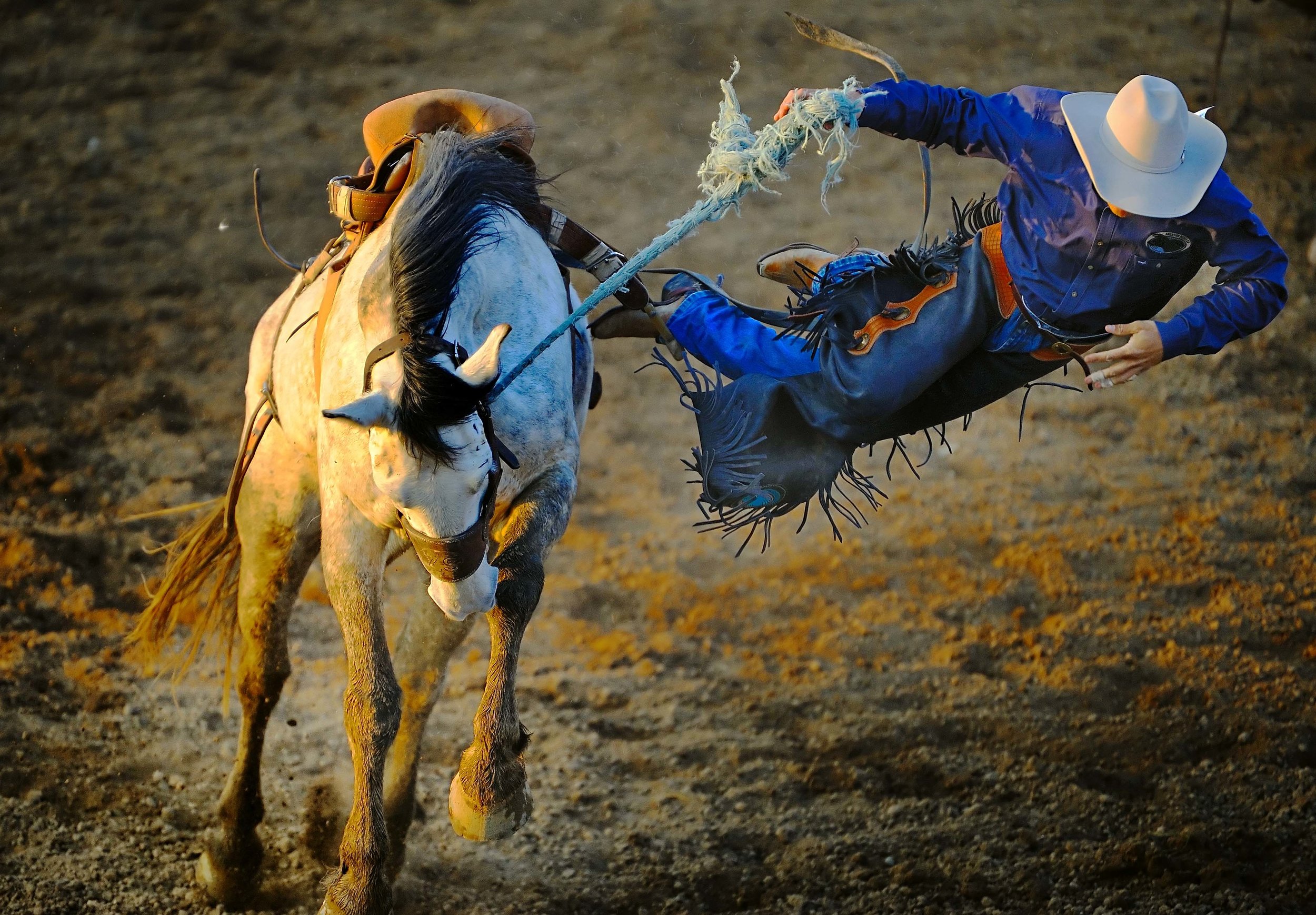 123947081.FVBx0Rtr.D3D_3705ClovisRodeo1.jpg