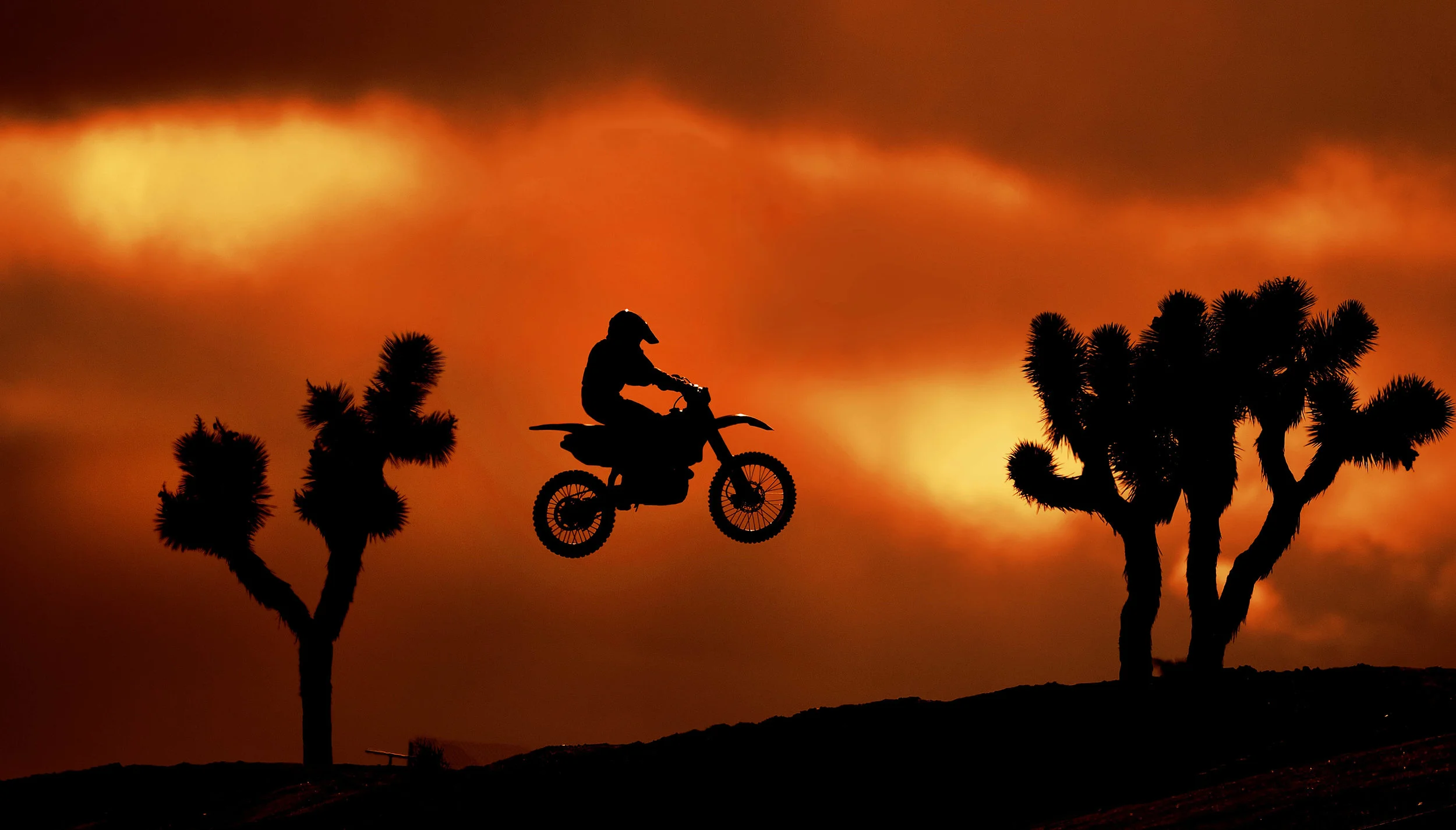 153705776.98FzrKX7.D4B_7578MojaveCycle1CropA.jpg