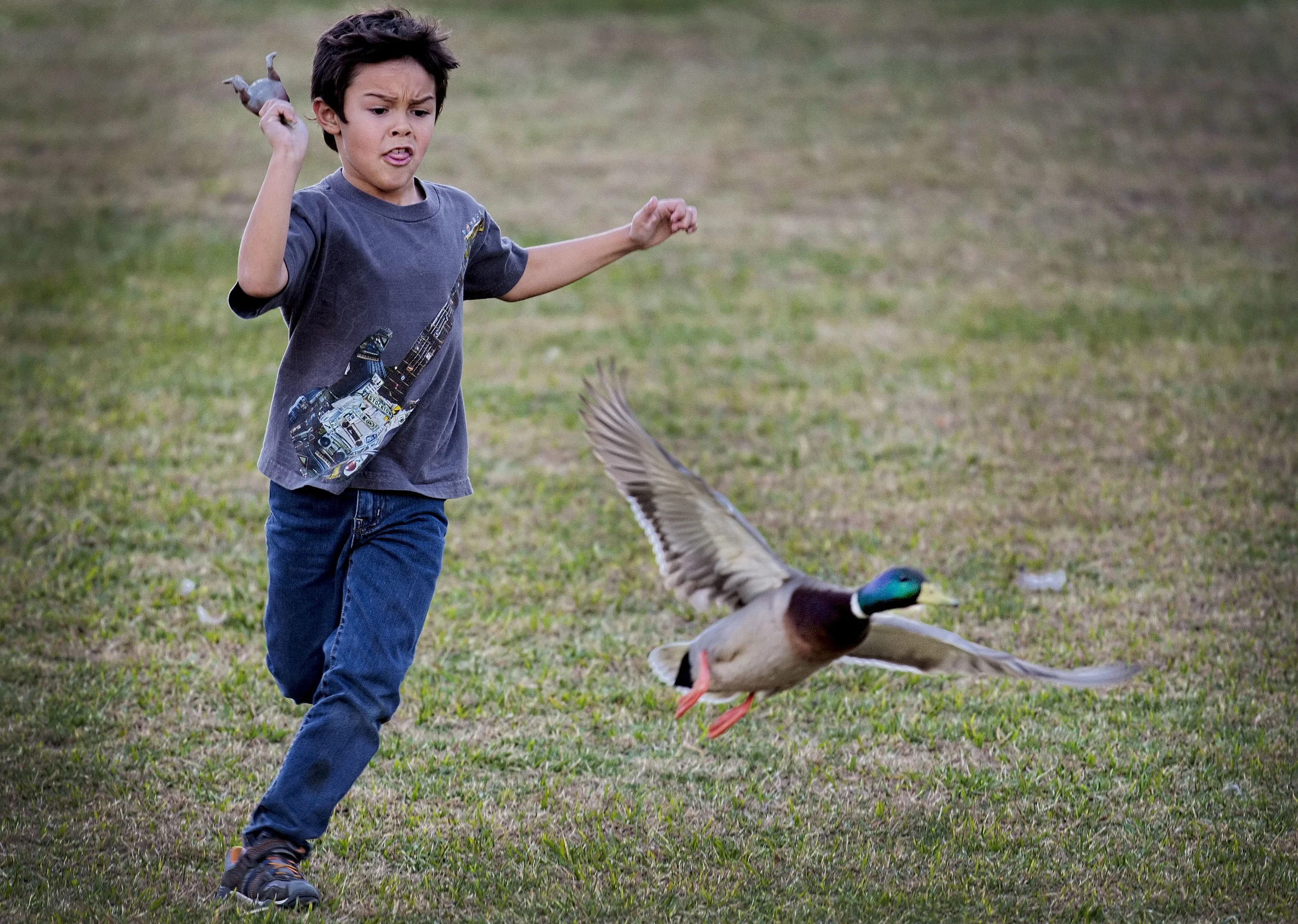 159121247.ufSMwZw1.D4C_3919OsoDeOroDuckHunter.jpg