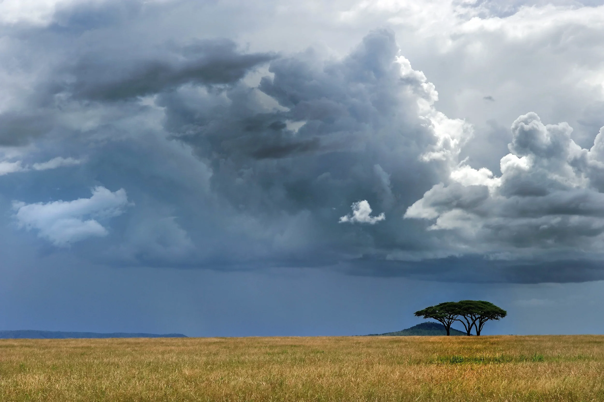 144336061.kJNThPqS.D3F_4225Serengeti1.jpg