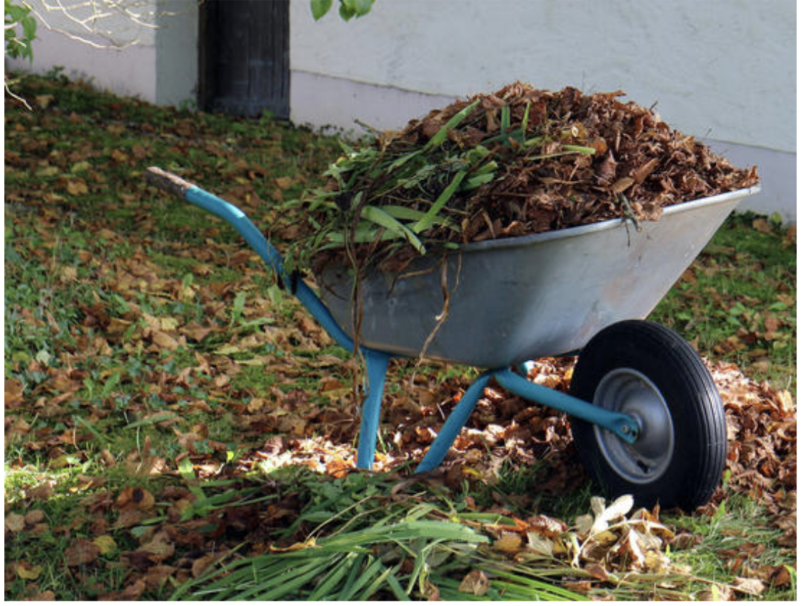 Gathering my Thoughts