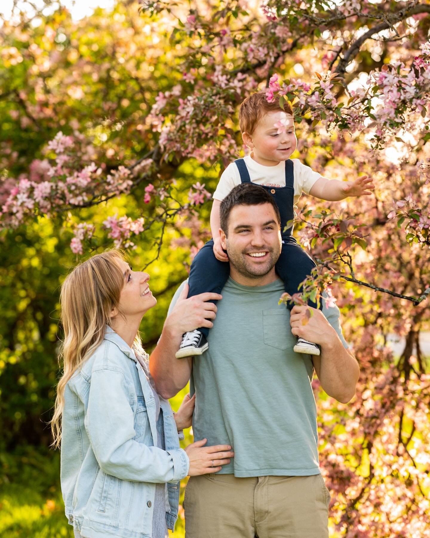 🌸 spring minis! 🌸

They will be on Monday, May 13th at the Arboretum! Sessions will be 15 min, $225 +hst, all images included.

Just in time for a Mother&rsquo;s Day gift or just to update family photos! These sessions are also perfect for mini mat