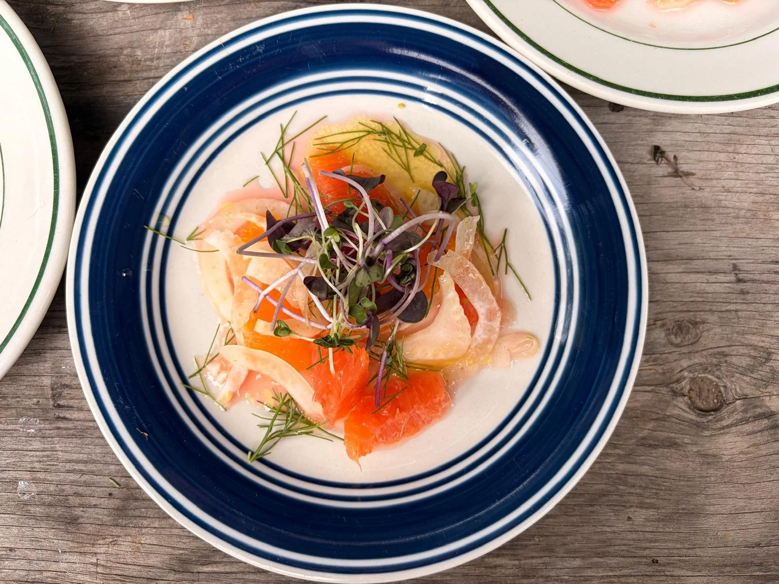 WhatsApp Image 2026-04-19 at 9.31.42 AM (1).jpeg