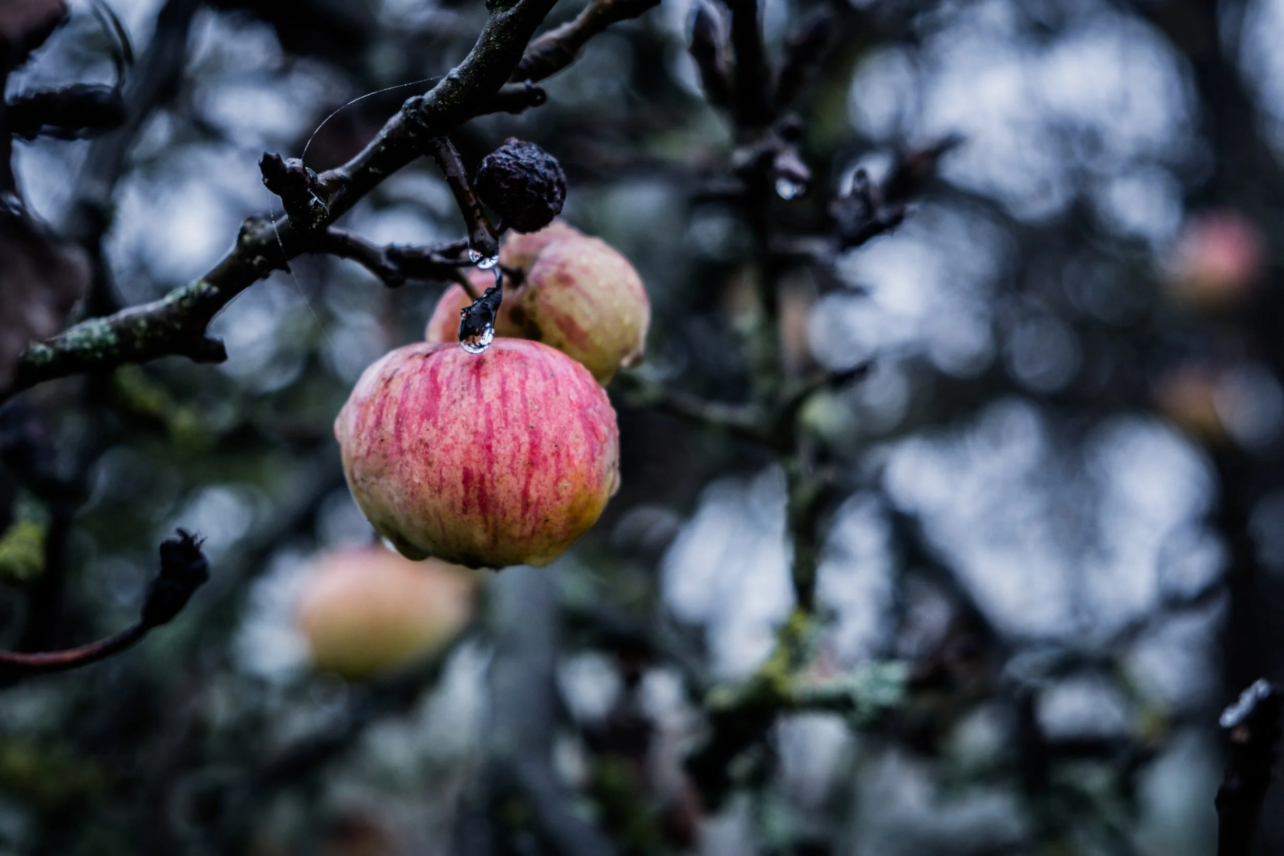 On Self [Texte coup de coeur]