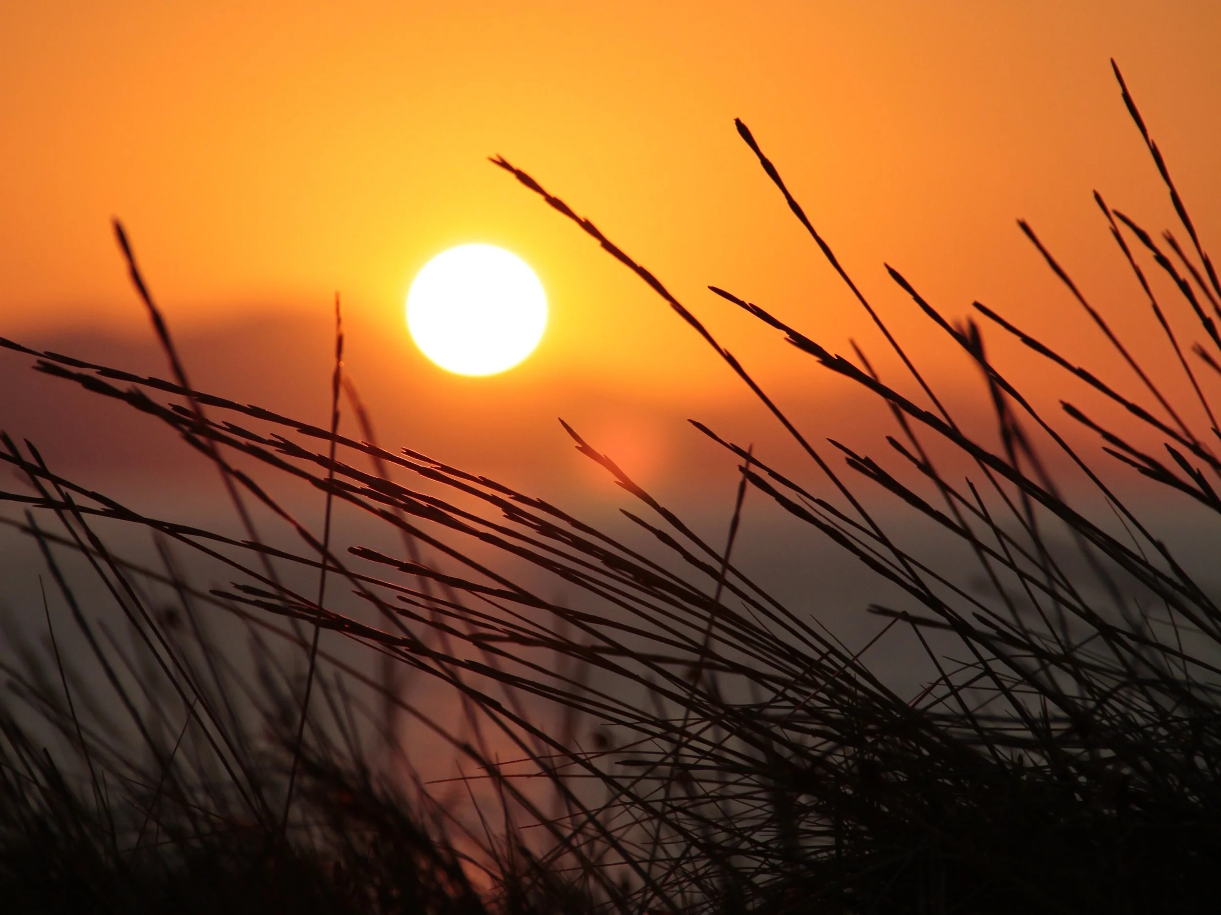 Madame D [Texte gagnant]