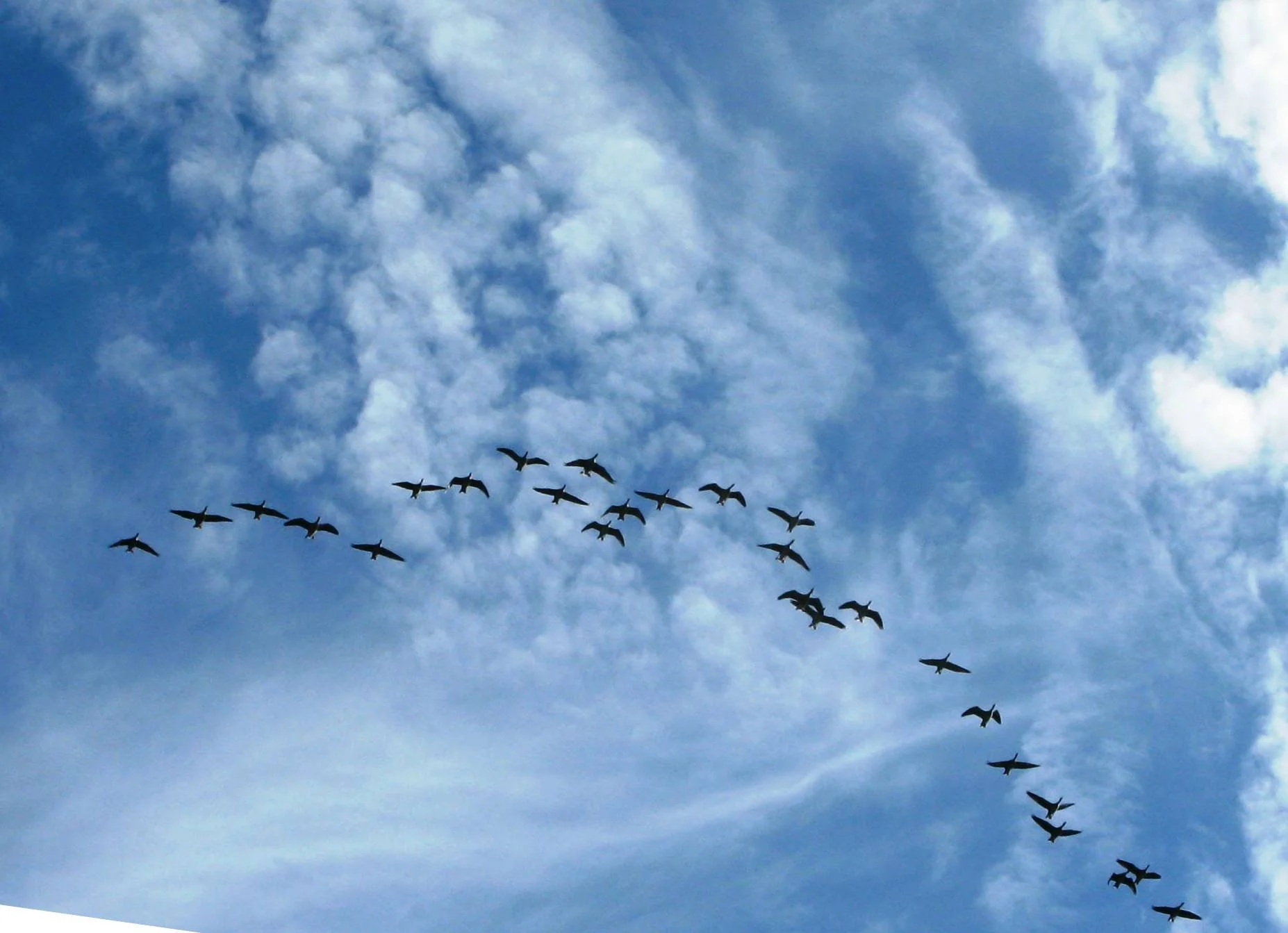 Se diriger au palier d’une médecine humaniste [Texte gagnant]