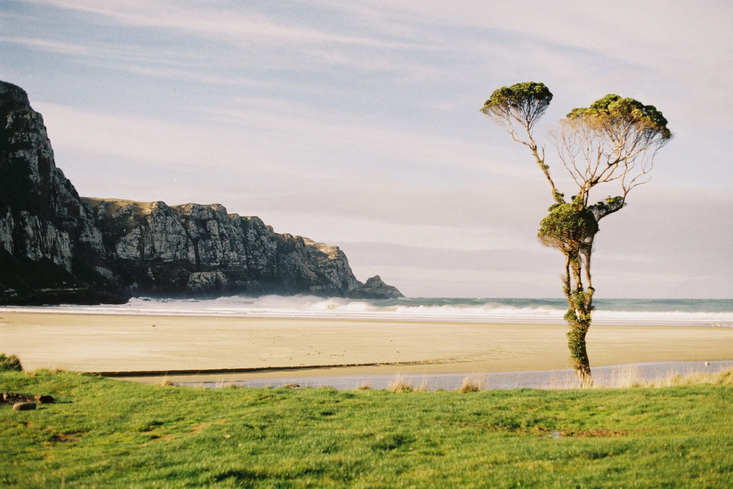 GreenBack - Creating the Green R/evolution