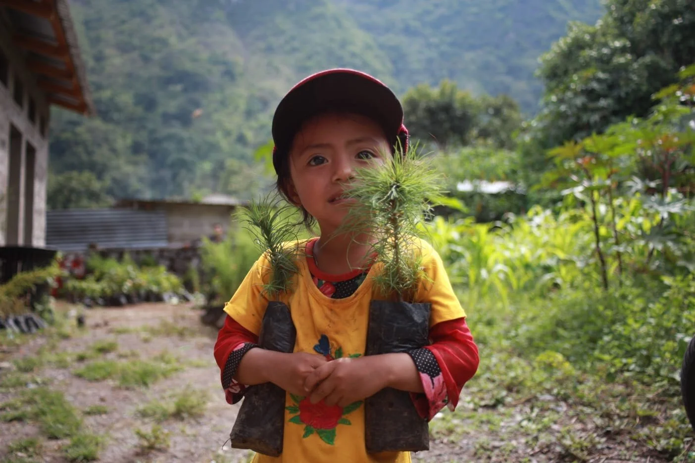 WhatsApp Image 2021-05-26 at 7.12.13 PM(1).jpeg