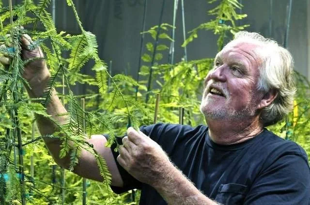 The Archangel Ancient Tree Archive's David Milarch Will Present to WELLKIND Forestry