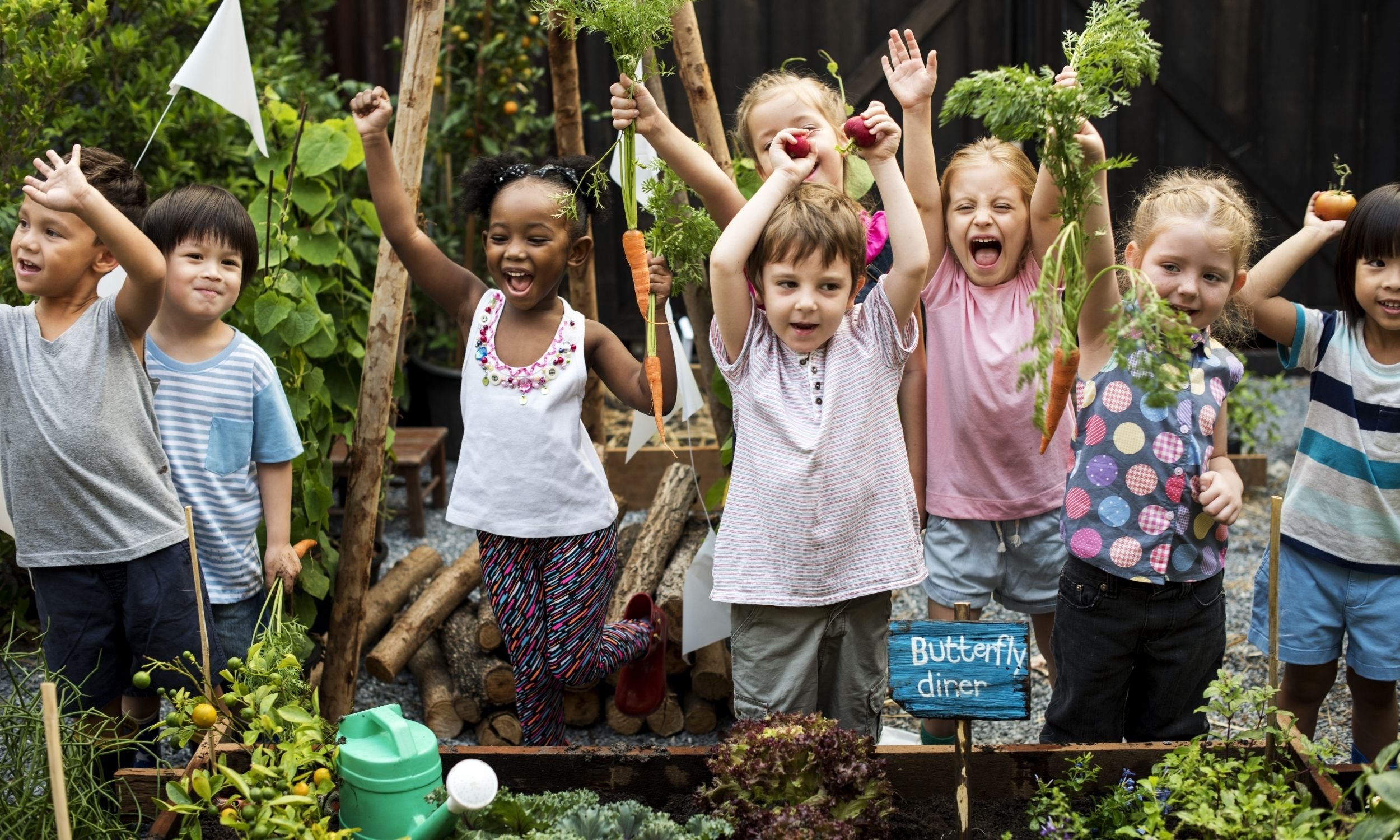 Website headers - Science in the Garden.jpeg