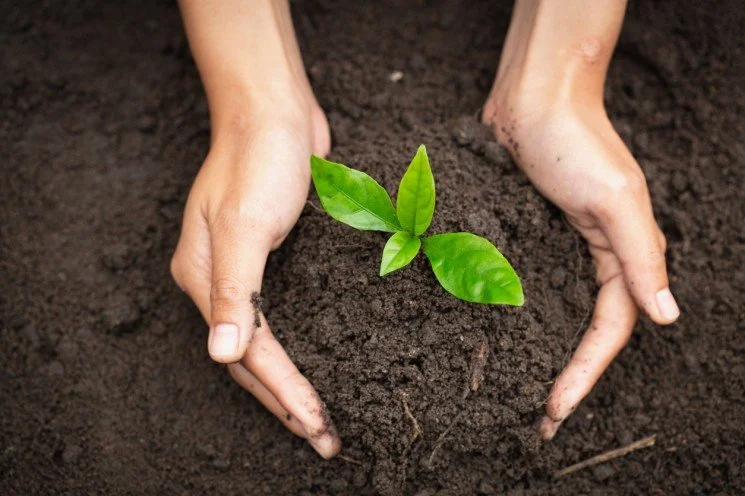Why Does Soil Health Matter?