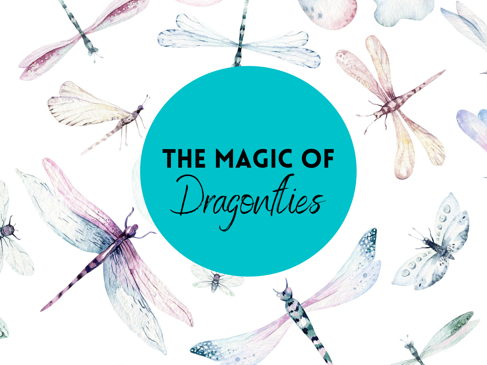 The Magical Spiritual Meaning of Dragonflies — The Angel Writer
