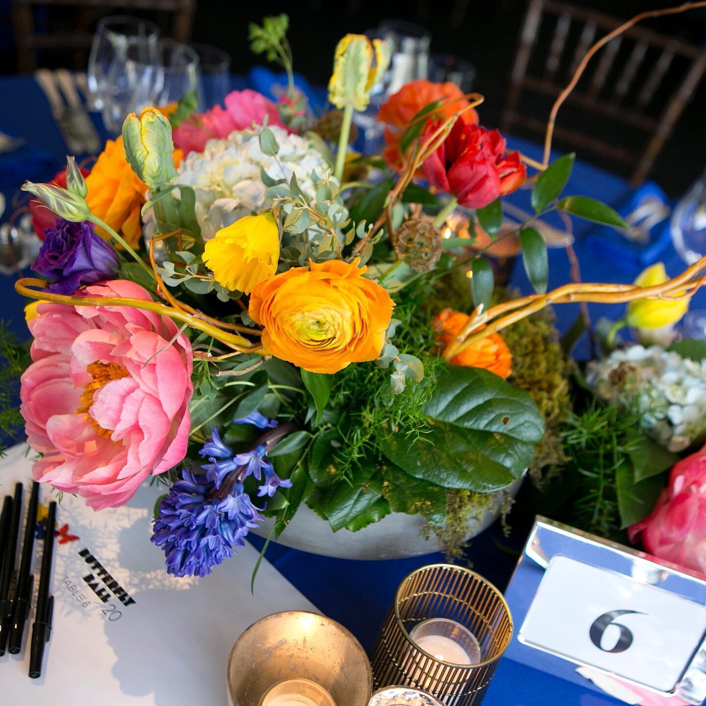 A colorful Butterfly Ball throwback&hellip; we are looking forward to creating more magic for the upcoming 2024 event! #chicagogalas #butterflydecor #colorfulevents