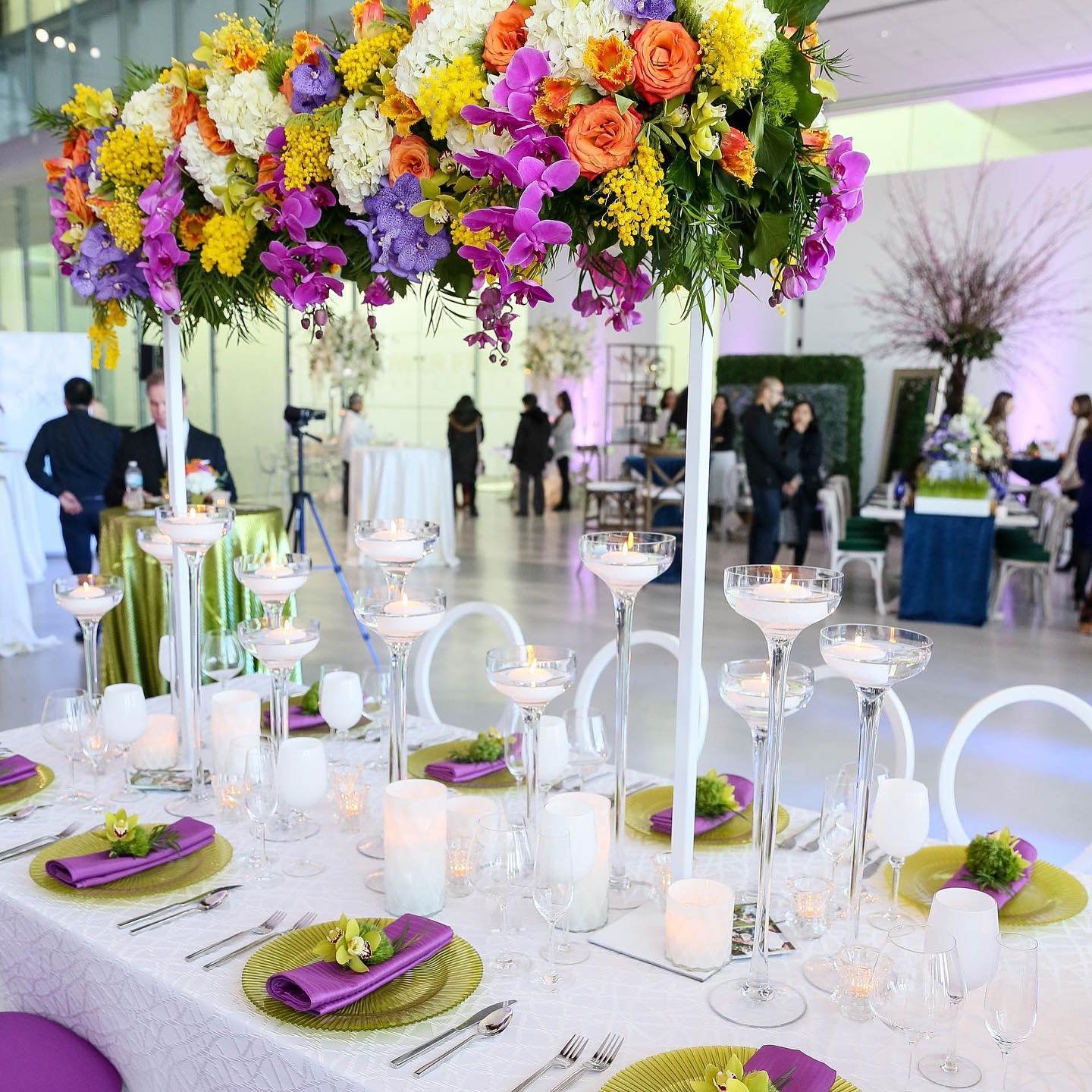 Meet the line up&hellip; phalaenopsis, vanda + cymbidium. We dare you to name a better combo! #orchids