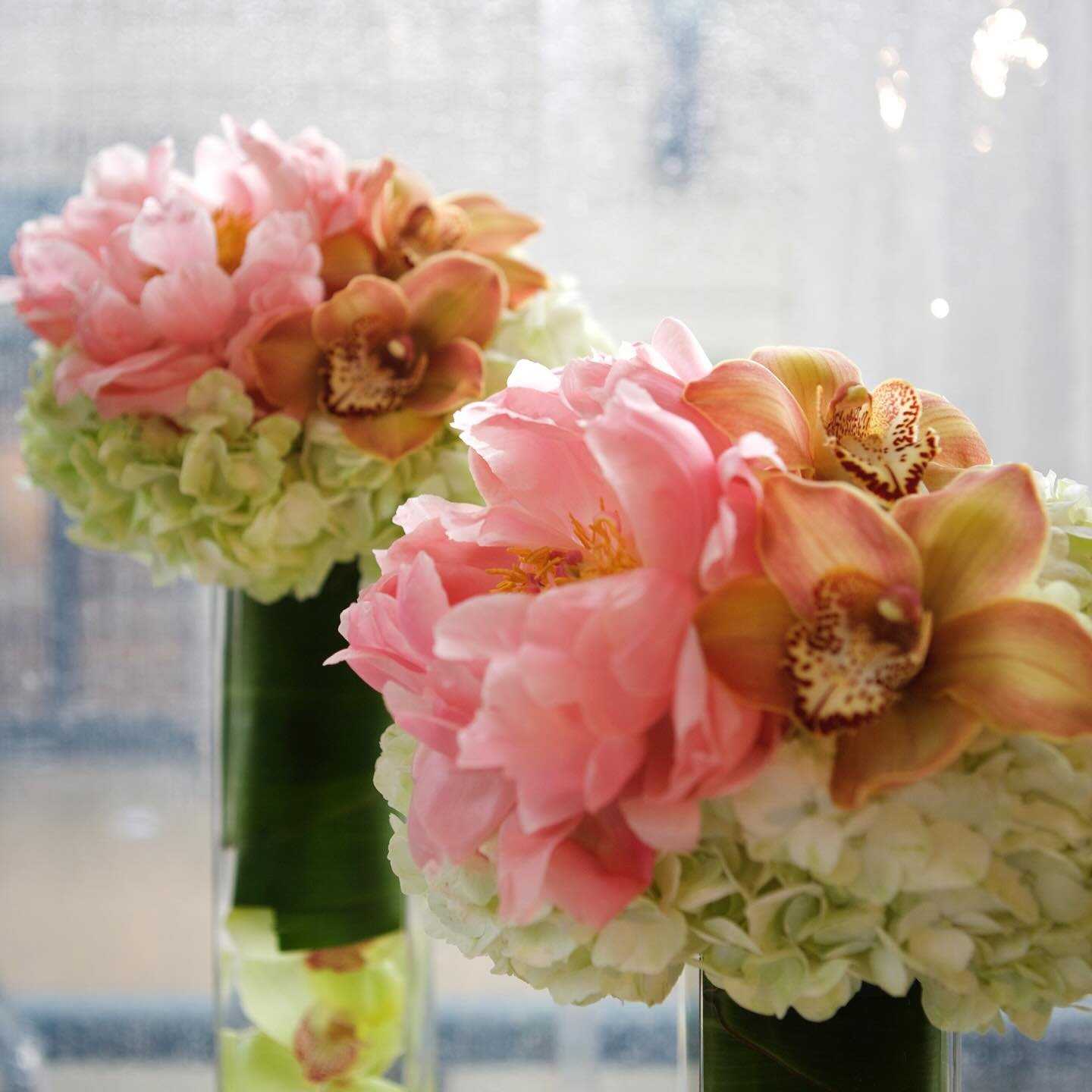 Forever a sucker for the coral charm&hellip; #peonyseason