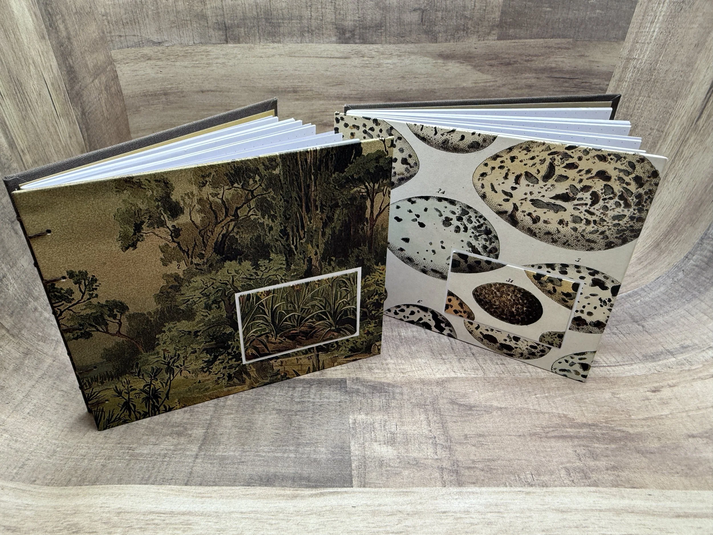 Botanical Series: Books 7 & 8