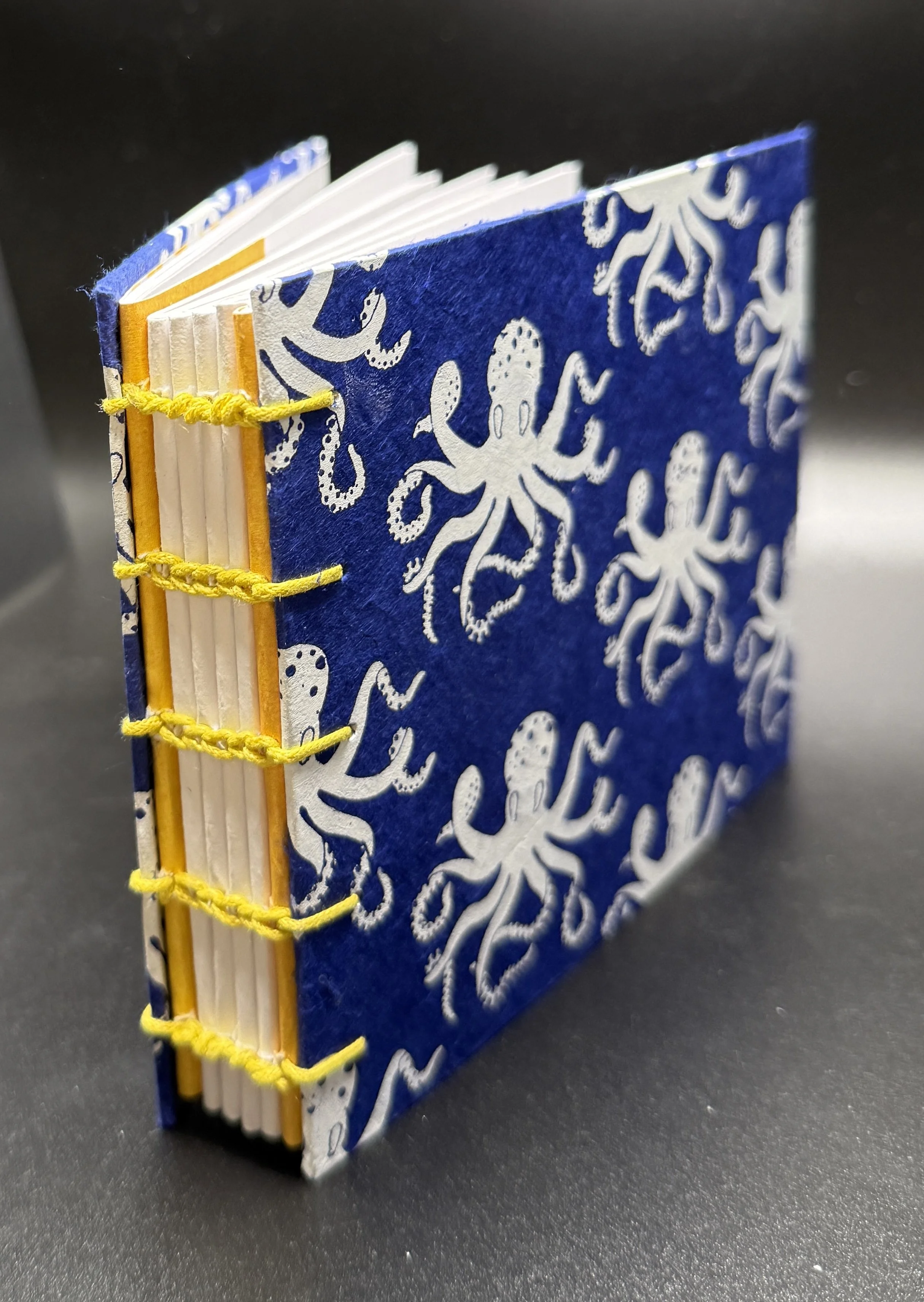 Blue Octopus Sketchbook