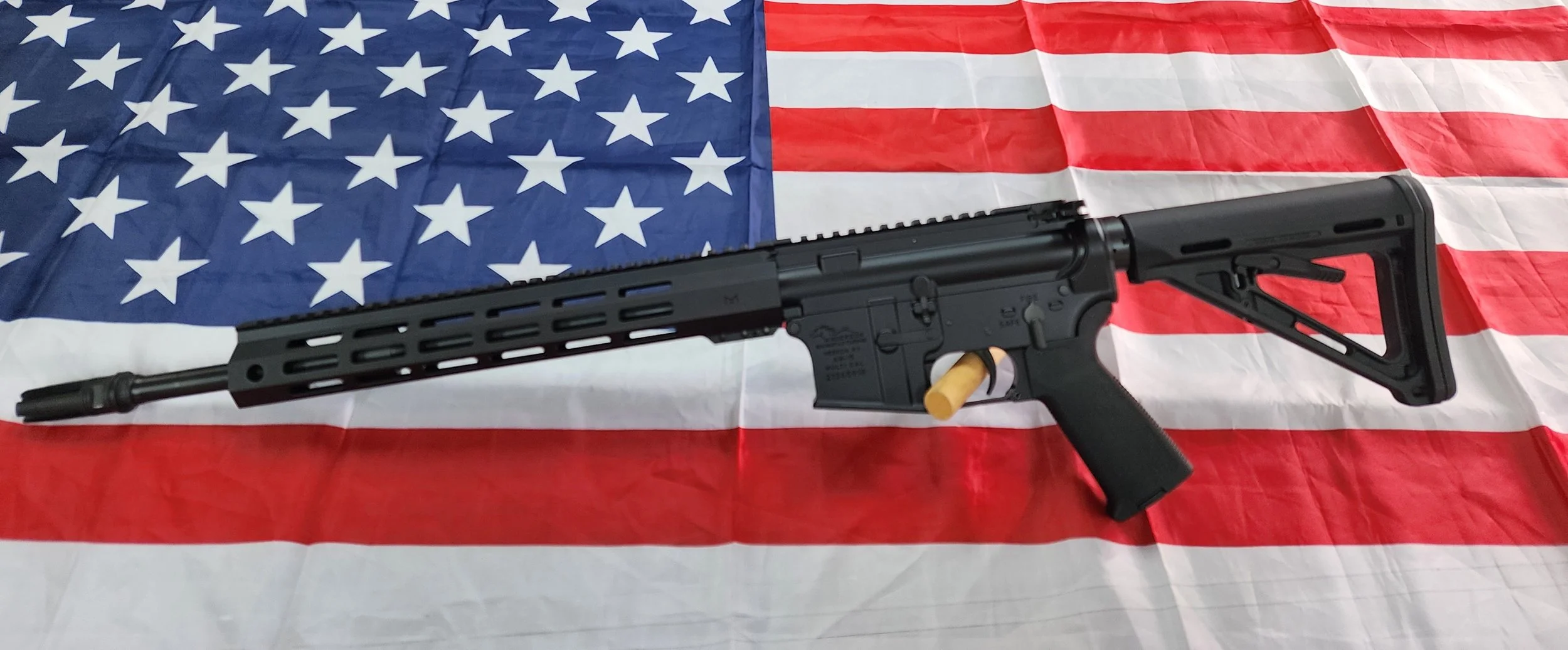 Built AR 15