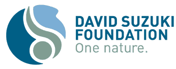 david-suzuki-logo.png