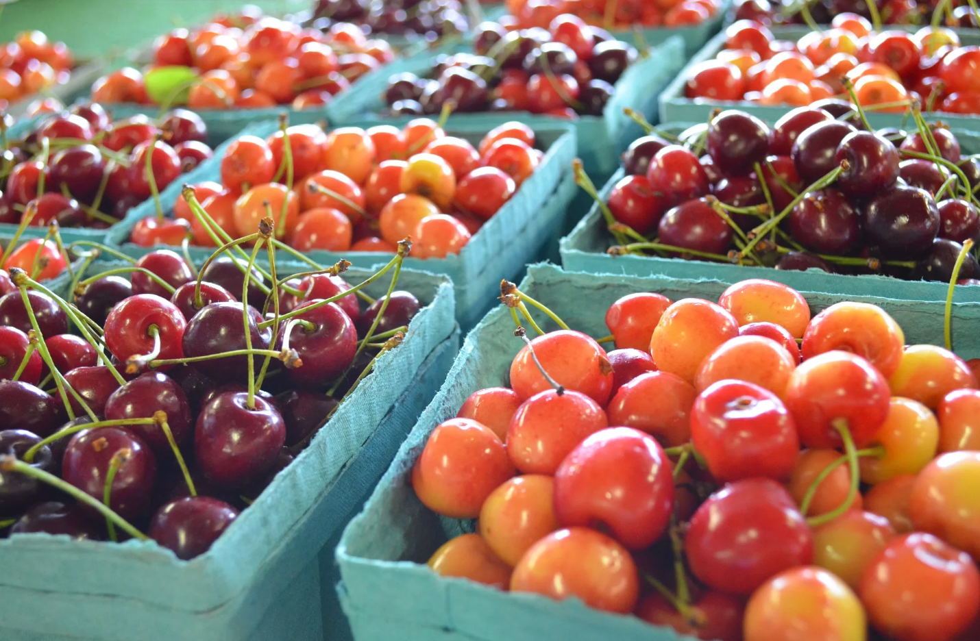 Events in Vancouver: Trout Lake Farmers Market